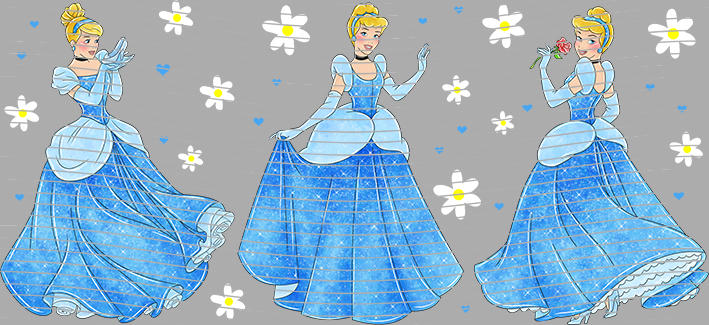 16oz Princess-N4-727